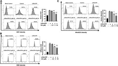 Calycosin Alleviates Sepsis-Induced Acute Lung Injury via the Inhibition of Mitochondrial ROS-Mediated Inflammasome Activation